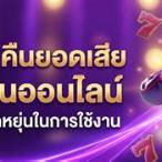 เว็บคืนยอดเสีย